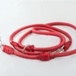 Paris Rundsyet Dressurline