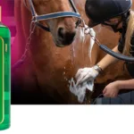NAF Teatree og Mint Shampoo