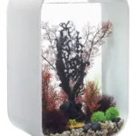 Biorb Life MCR light 60 L