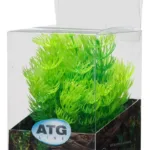 Premium Plastplante Mini