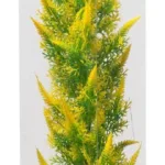 Premium Plastplante Large