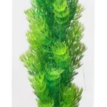 Premium Plastplante Large