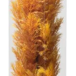 Premium Plastplante Large