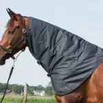 HH Thor Hals