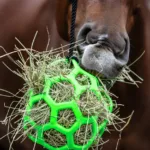 Waldhausen Hayball