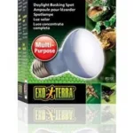Sun Glo Spot 50 w