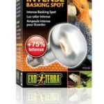 Sun Glo intense basking spot 100 w m/UVA