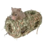 Hamster Græshule Mellem