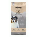 Chicopee Light