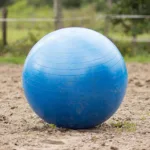 QHP Horse Football