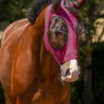 QHP Fly Mask Super Bug