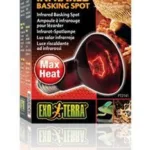 Heat Glo 50w