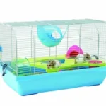 Hamsterbur Bristol