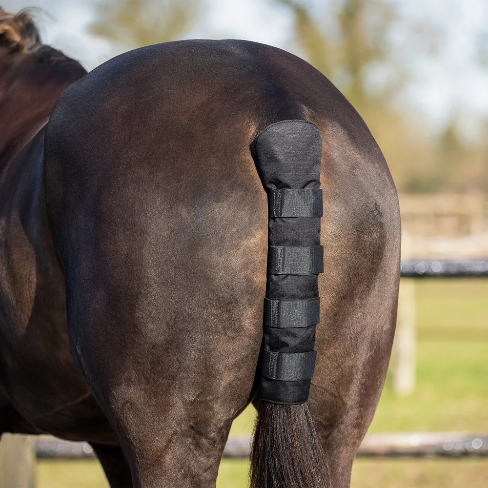 15967_8718369369912