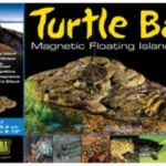 Turtle bank medium