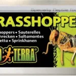 Tørret Græshopper XL