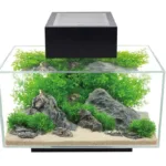 Fluval Edge ll 23 L
