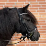 By Weber Shetland Trense Sheik