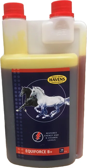 Equiforce B+ 1 L - Tilskud til hest