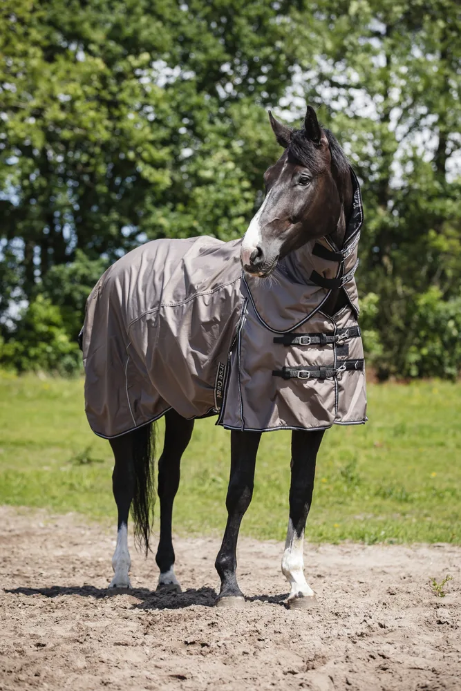 HG Adapting Standard Dækken U/Hals 135 - Vandtæt - Falcon - Til hest
