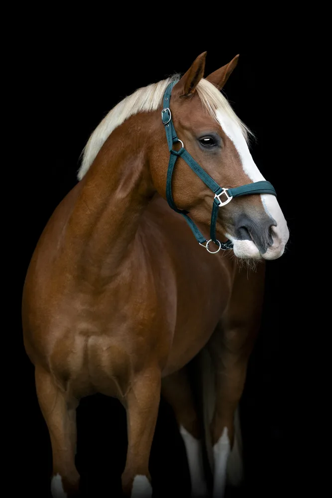14268_5701883516538