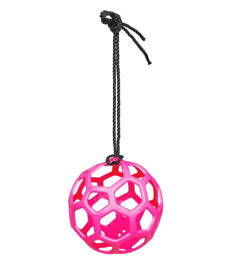 Waldhausen Hayball 22 cm - Pink - Til hest
