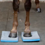 HG Balance Pads