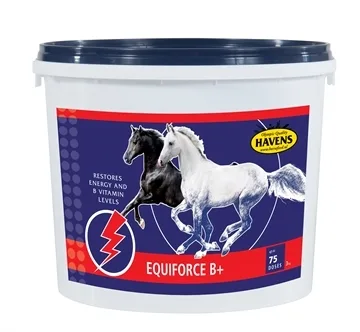 Equiforce B + Pulver 1 kg - Tilskud til hest