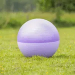 QHP Horse Football Two-Tone