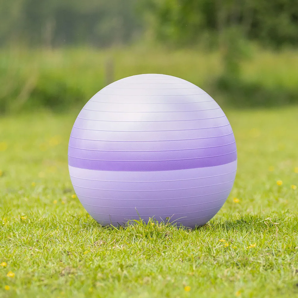 QHP Horse Football Two-Tone 75 cm - Lilla - Til hest