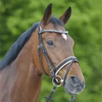 Wembley X-Line Chocolate Trense