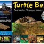 Turtle bank small