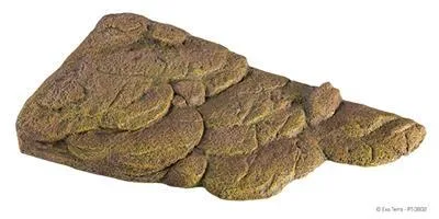 Turtle bank large - Til terrarie