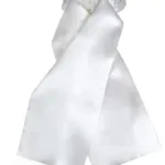 Horka Plastron med sten
