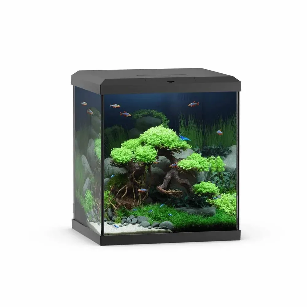4964_4022573270549
