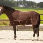 HH Cooler/Fleece Dækken